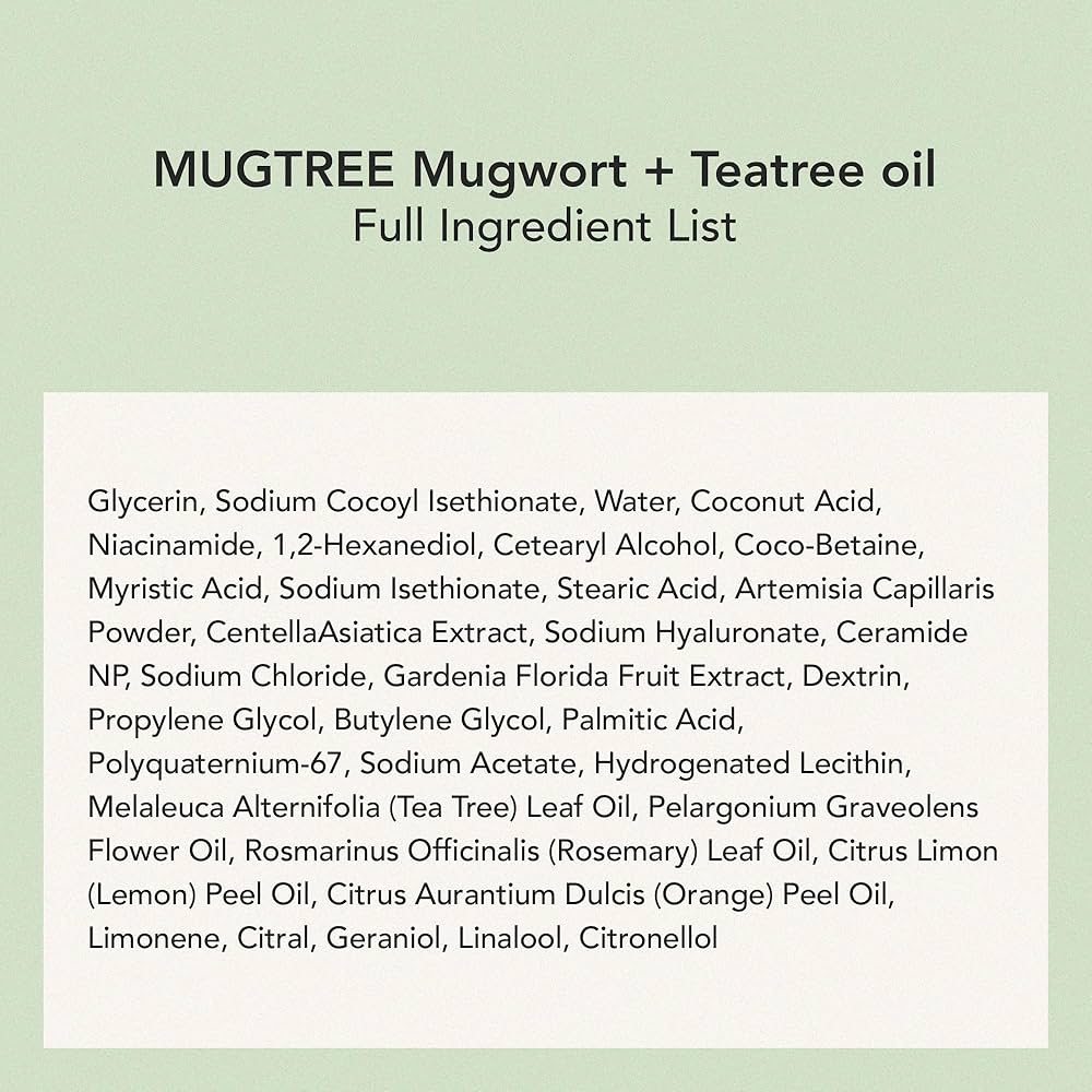 WHIPPED - Vegan Pack Cleanser Jumbo Scent : Mugtree (Mugwort + Teatree)