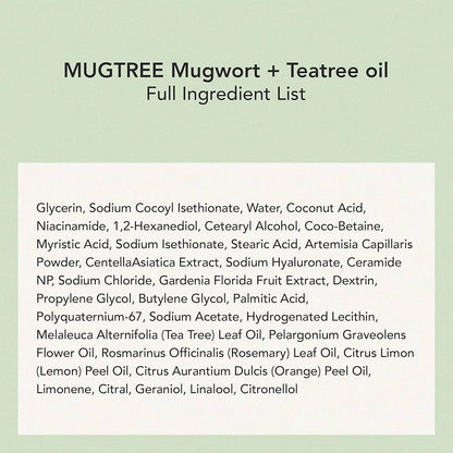 WHIPPED - Vegan Pack Cleanser Jumbo Scent : Mugtree (Mugwort + Teatree)