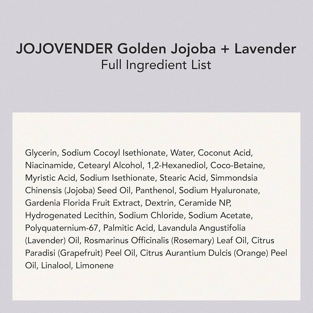 WHIPPED - Vegan Pack Cleanser Jumbo Scent : Jojovender (Jojoba oil + Lavender)