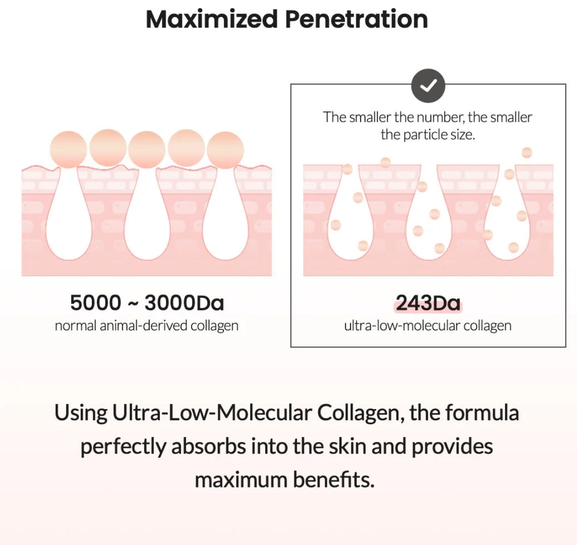 BIODANCE - Pore Tightening Collagen Cream