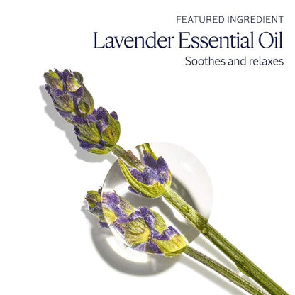 L'OCCITANE - Lavender Hand Cream - 75ml