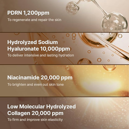 REJUALL Advanced PDRN Repair Cream 20g – Korean Pharmacy