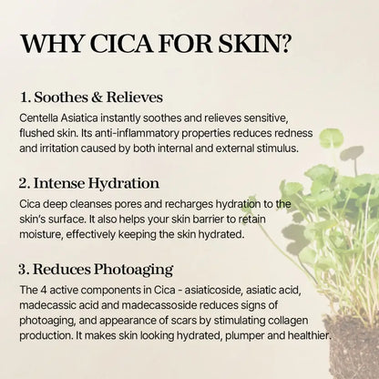 MIXSOON - Soondy Centella Asiatica Essence - 100ml