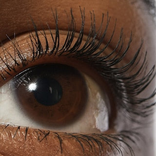 REFY - Lash Sculpt - BLACK