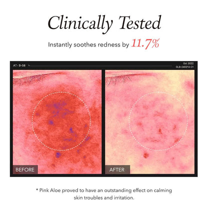 APRILSKIN Pink Aloe Pack Cleanser 120g